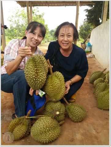 smart23418518122_1394762627270518_7248285409505468153_osss