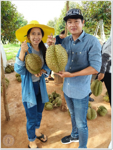 smart23418556544_1394762337270547_1275096515716743034_osss