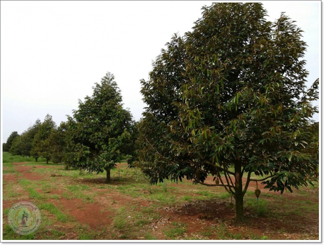 smart23418556669_1394762237270557_4490454804817582726_osss