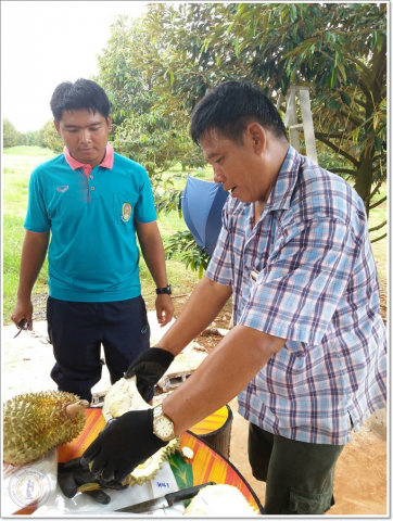 smart23418588741_1394762493937198_5887956969235275024_osss