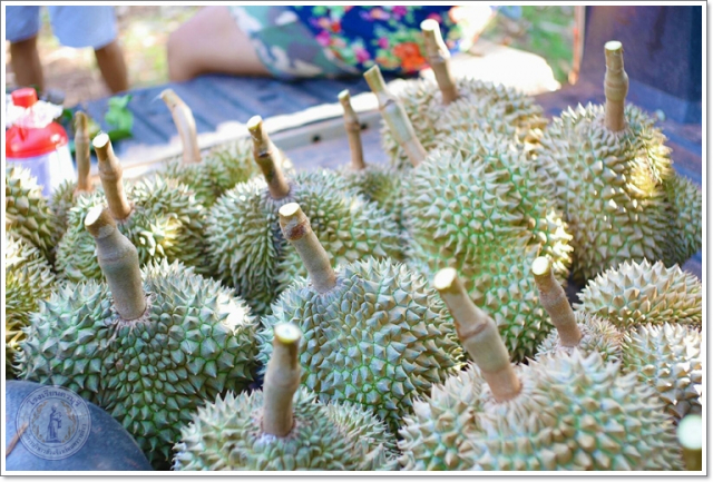 smart23420448883_125535528065256_5536813886604380197_osss