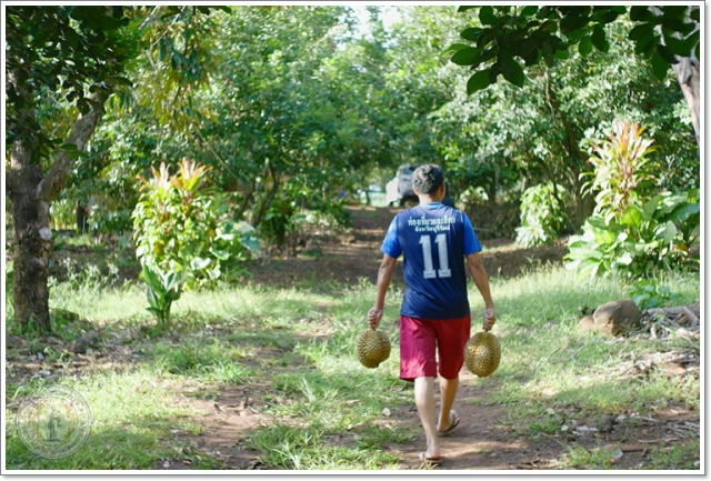 smart23420451658_125535481398594_6022183532687648070_osss