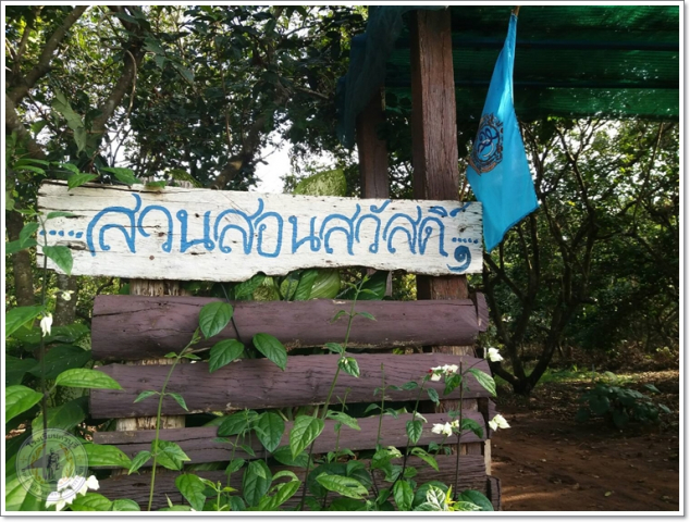 smart23420451746_125535424731933_450153656513513401_osss