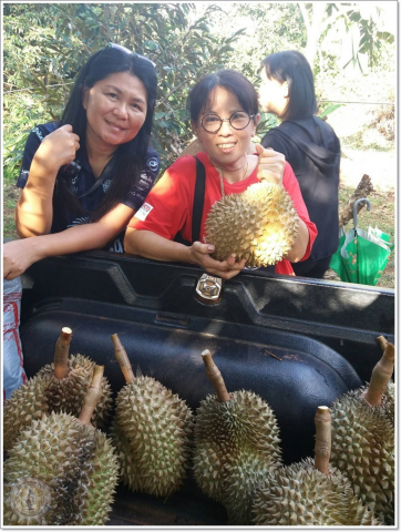 smart23420451859_125535428065266_5907918217670715405_osss