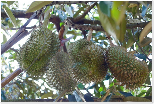 smart23420507482_125535478065261_5825225919360656229_osss