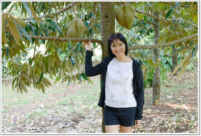 smart23420545248_125535494731926_5891660767655173554_osss