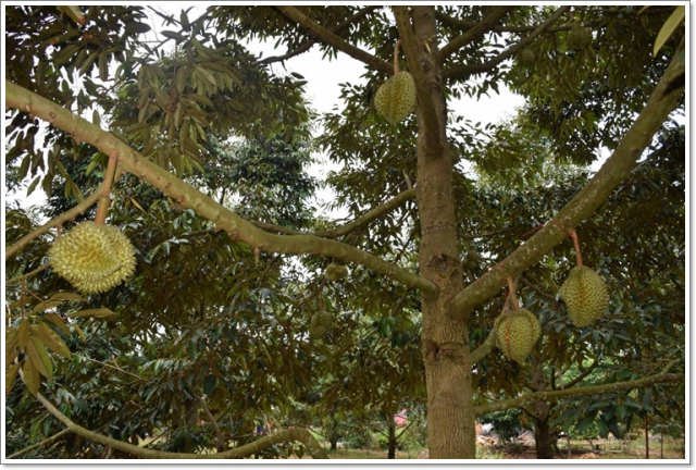 smart23461117812_368588383763180_7746478666619551744_nsss