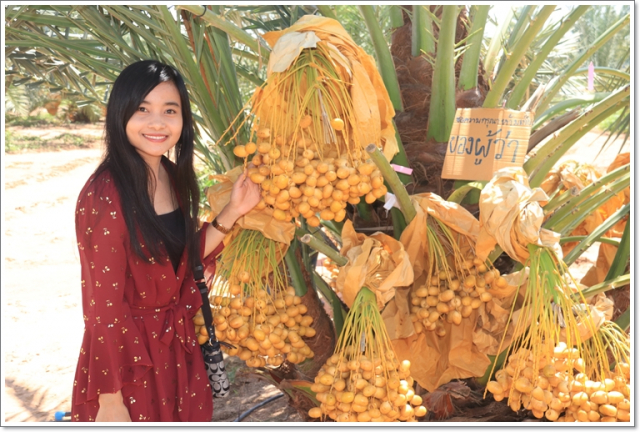 smart234IMG_4833sss-1